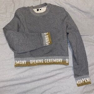 Opening Ceremony Cropped Sweatshirt - Gray, gold and silver
